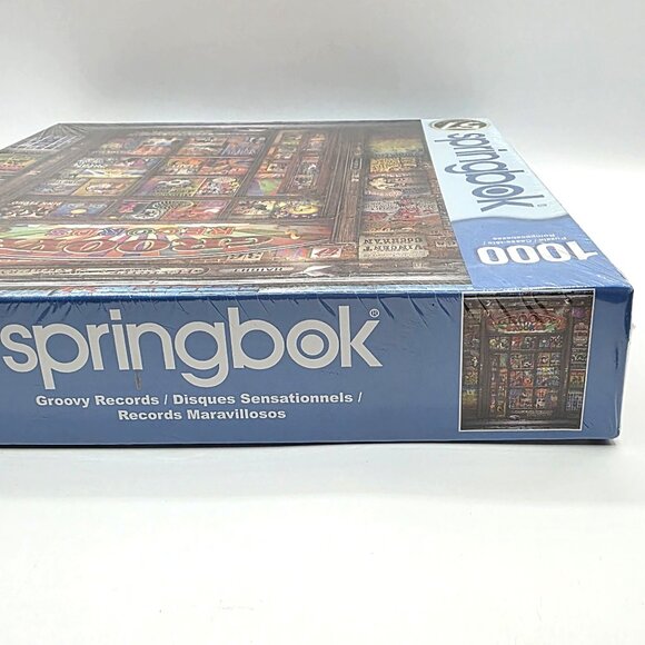 Springbok Groovy Records 1000 Pc Puzzle Doors, Pink Floyd, Hendrix, Led Zeppelin - Picture 6 of 8